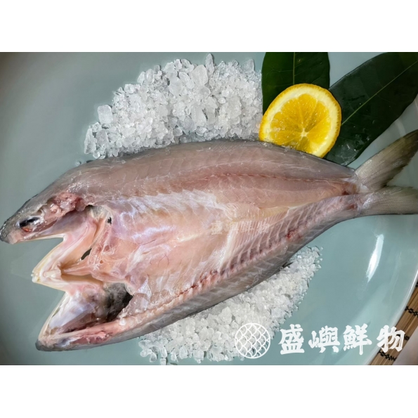 熟成午仔魚一夜乾