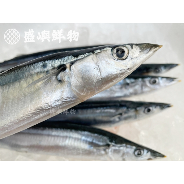 台灣秋刀魚
