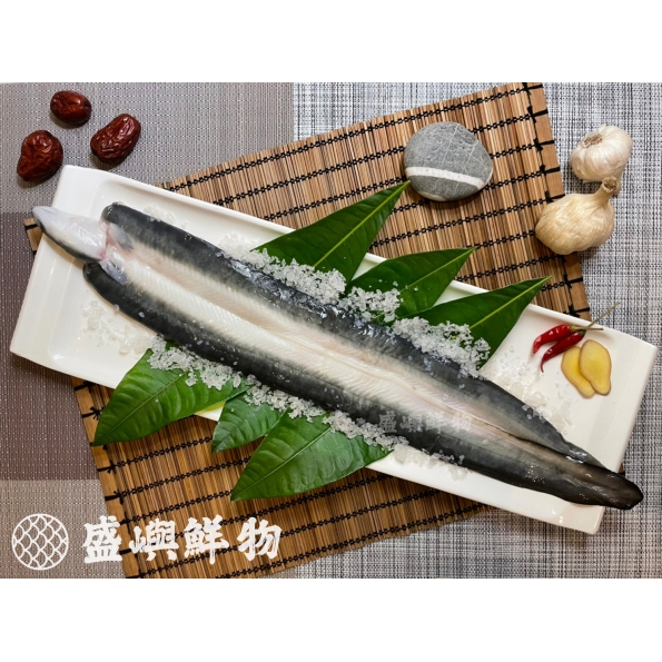 生鮮鰻魚