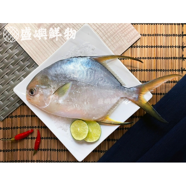 黃金鯧魚