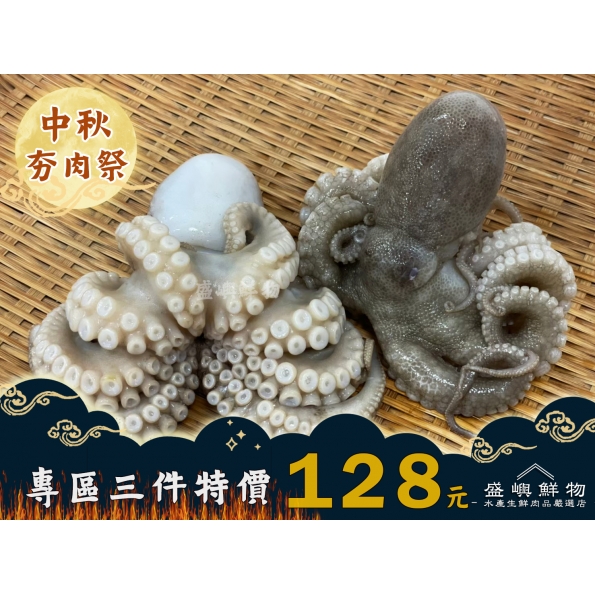 澎湖現流小章魚