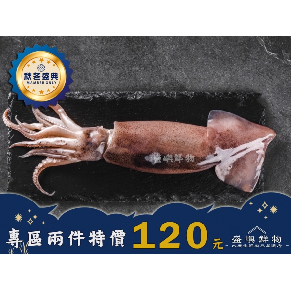 阿根廷大魷魚