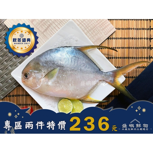 黃金鯧魚