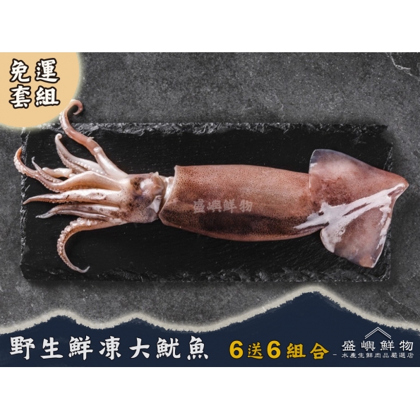 阿根廷魷魚