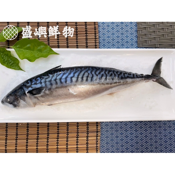 整尾挪威鯖魚