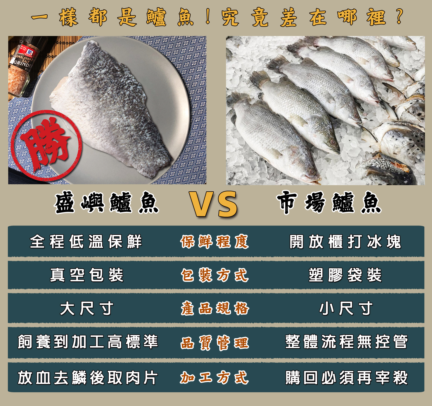 鱸魚產品比較