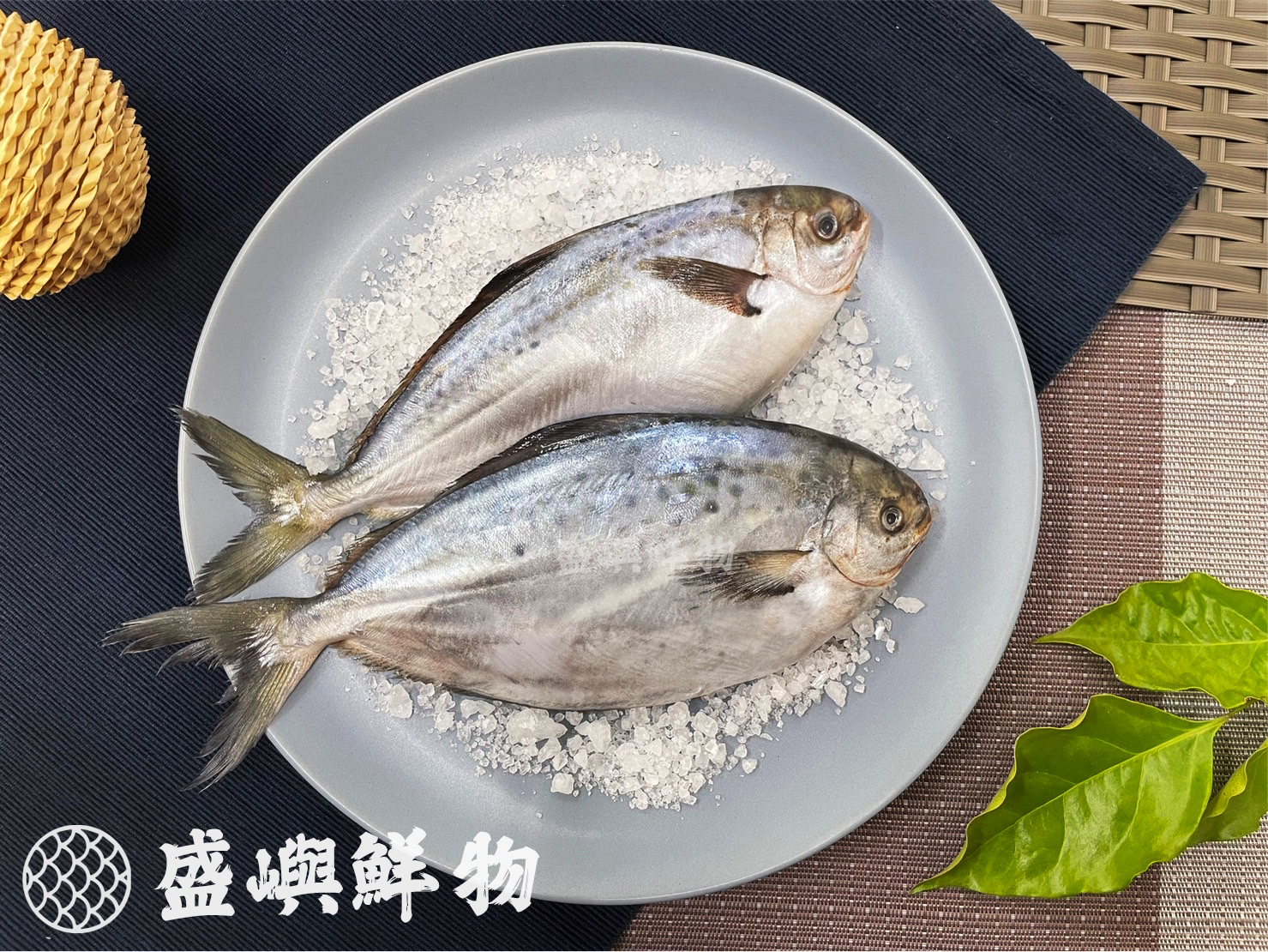 阿根廷花鯧魚