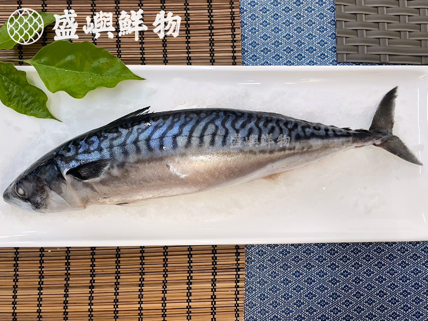 整尾挪威鯖魚