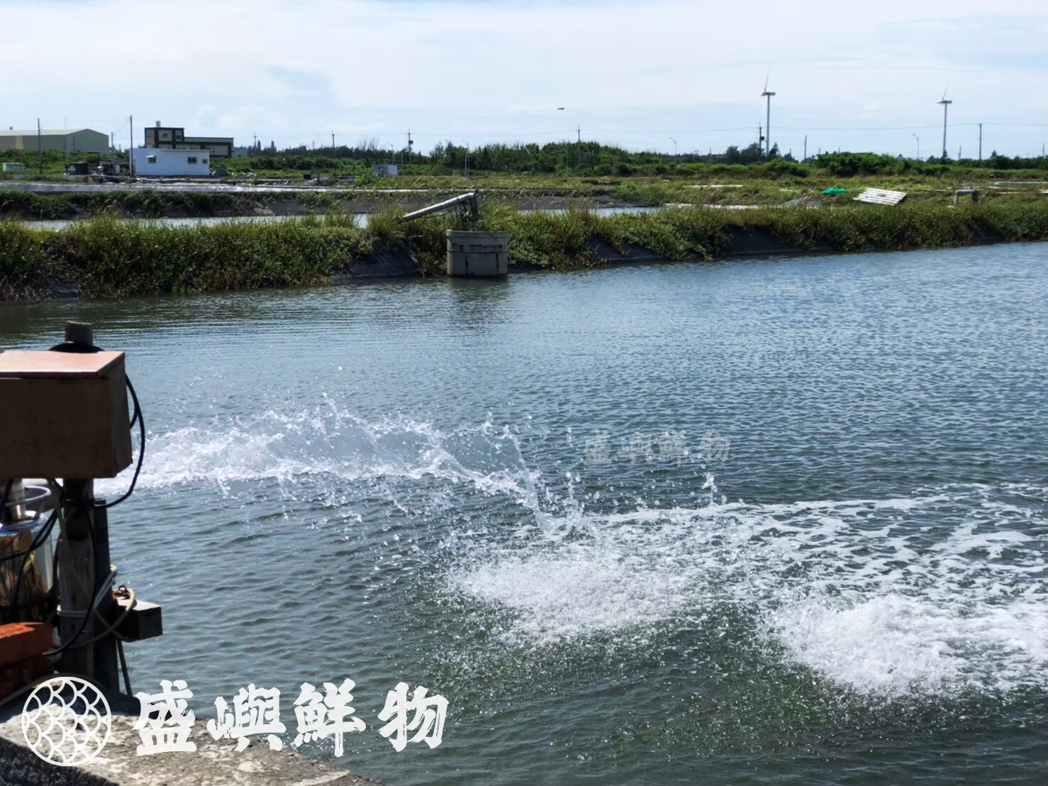 在地水產養殖