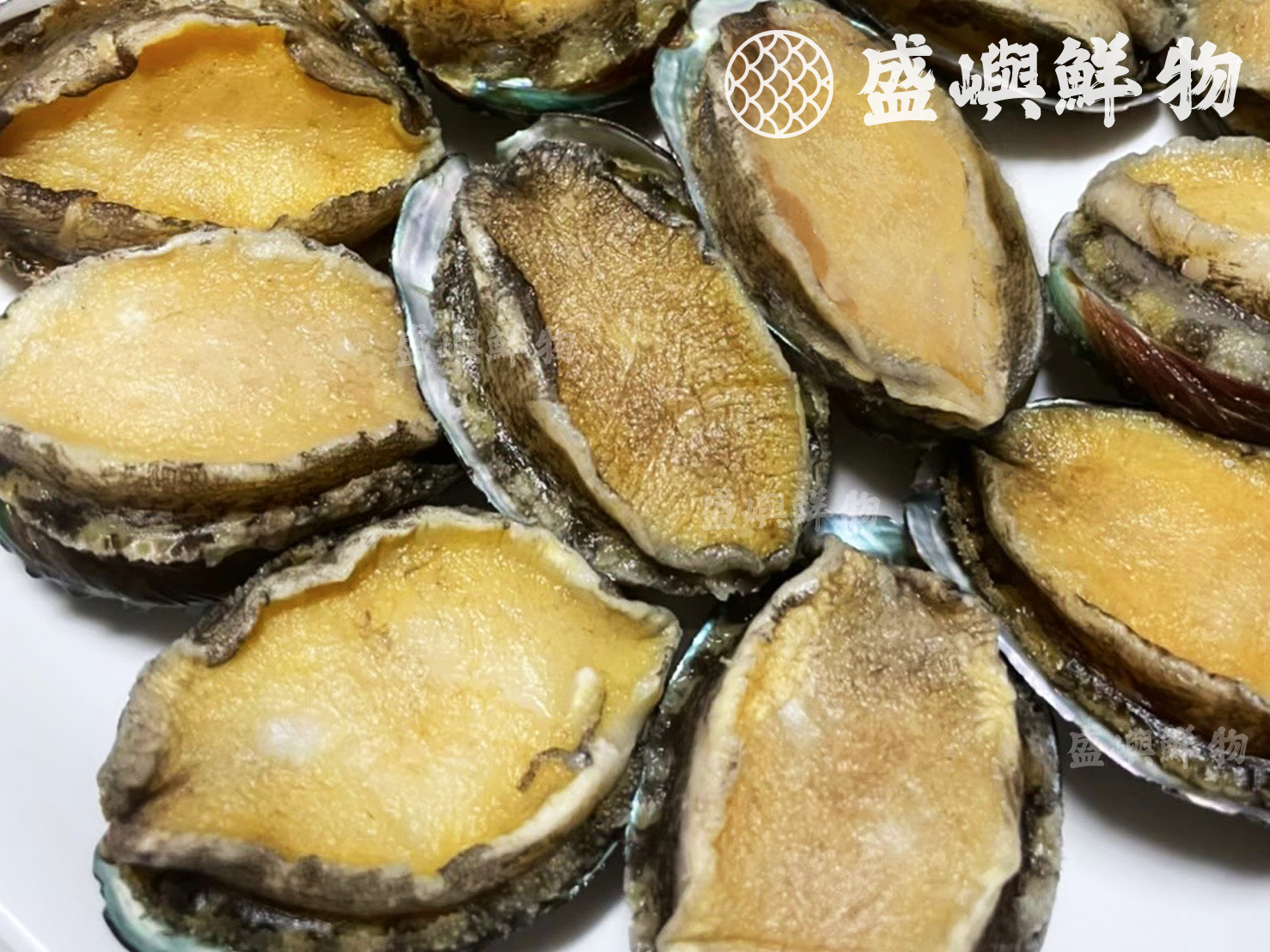 小鮑魚