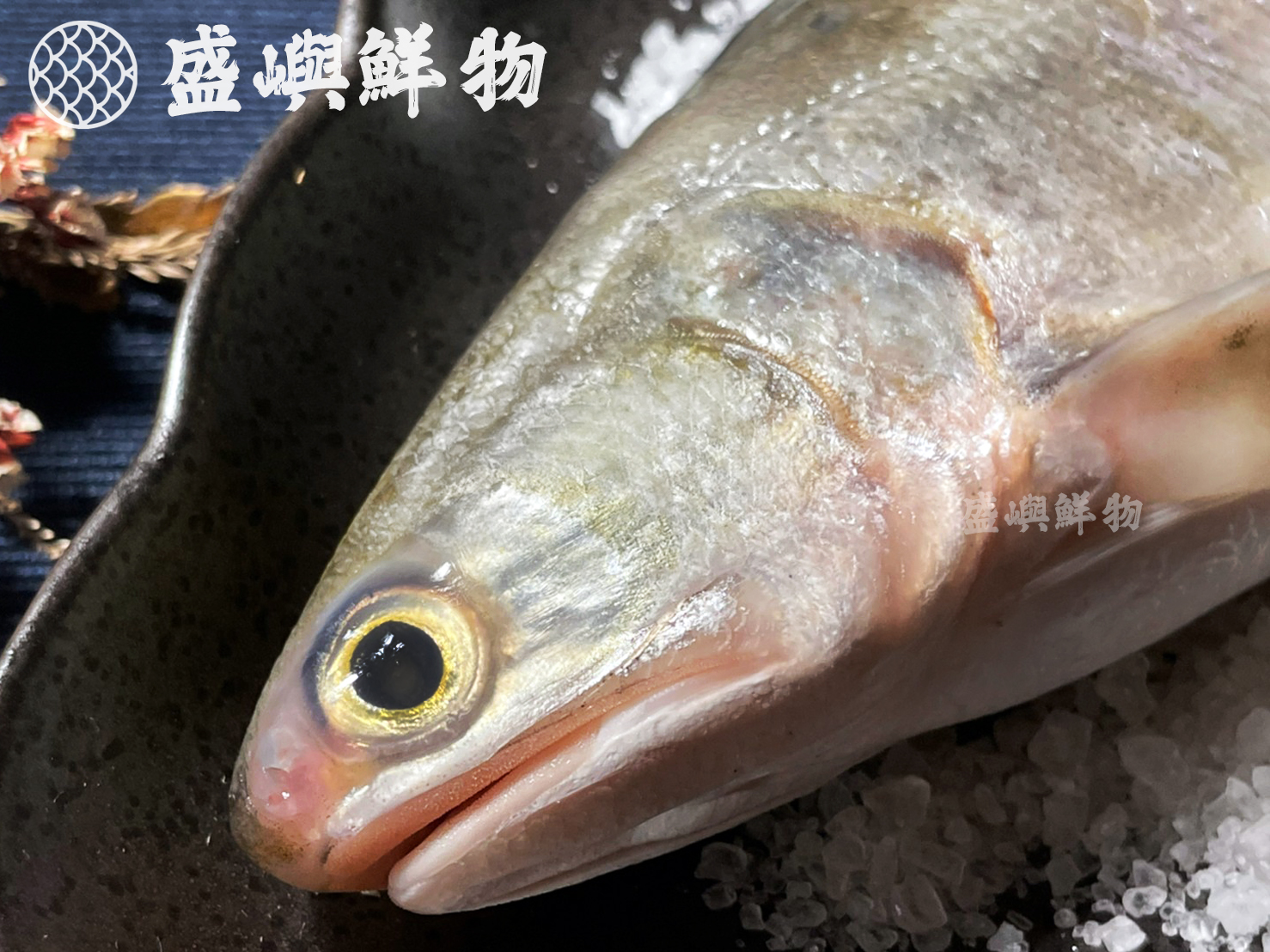 午仔魚