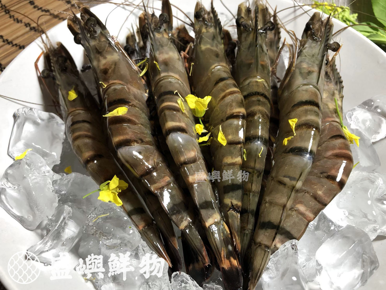 草蝦蝦子