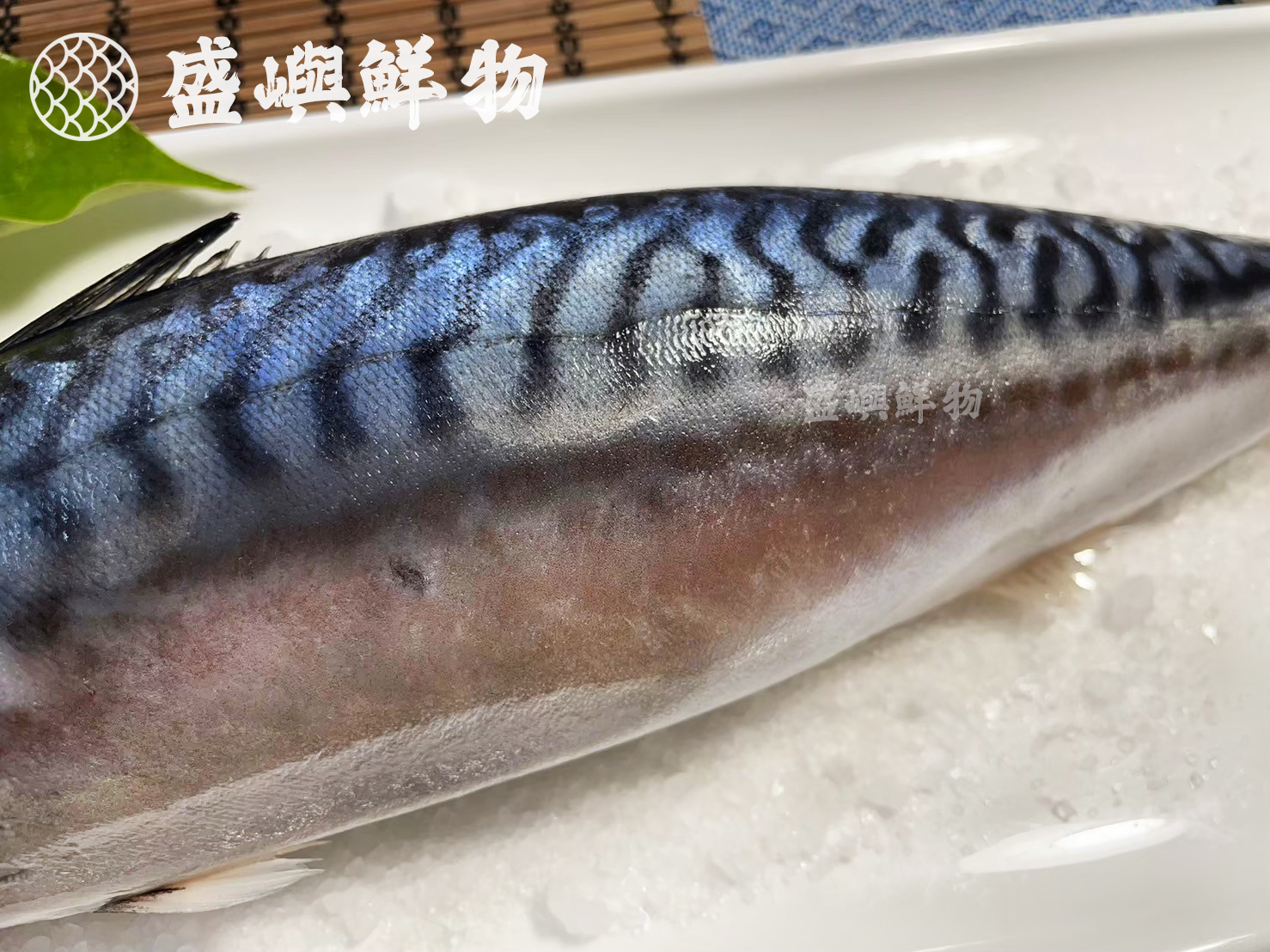 整尾挪威鯖魚