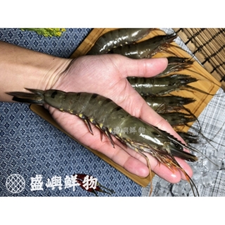 泰國黑虎草蝦